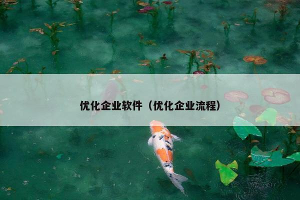 优化企业软件（优化企业流程）