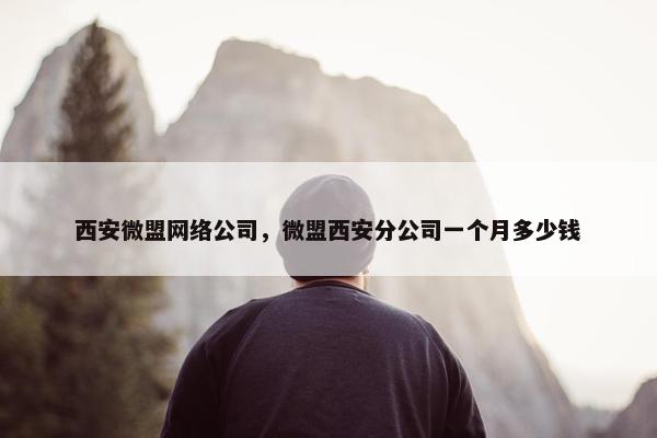 西安微盟网络公司，微盟西安分公司一个月多少钱