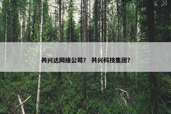 共兴达网络公司？ 共兴科技集团？