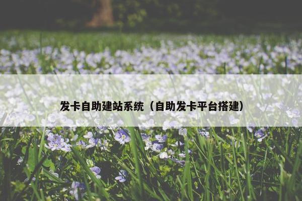 发卡自助建站系统（自助发卡平台搭建）