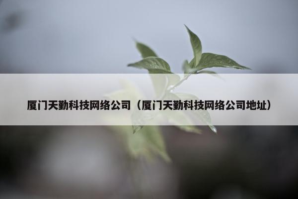 厦门天勤科技网络公司（厦门天勤科技网络公司地址）