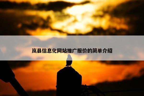岚县信息化网站推广报价的简单介绍