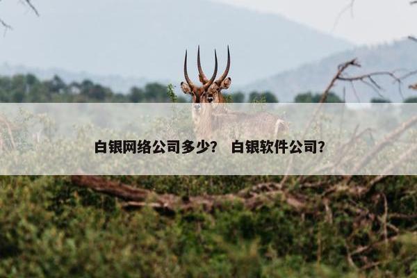 白银网络公司多少？ 白银软件公司？