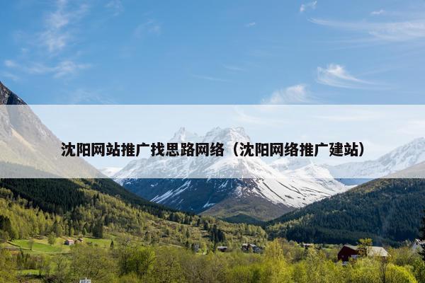 沈阳网站推广找思路网络（沈阳网络推广建站）