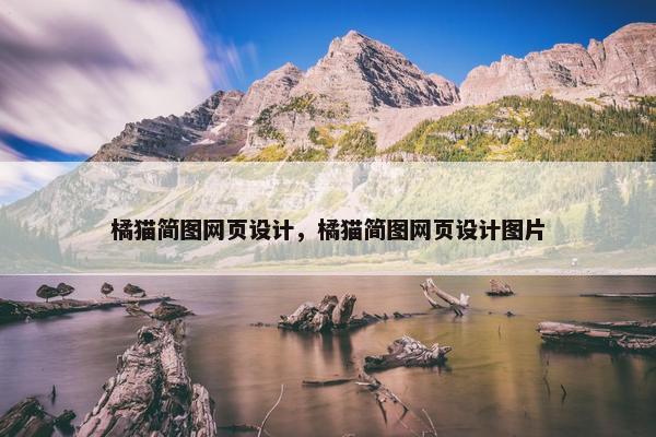 橘猫简图网页设计，橘猫简图网页设计图片