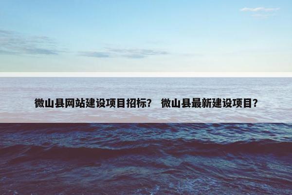 微山县网站建设项目招标？ 微山县最新建设项目？