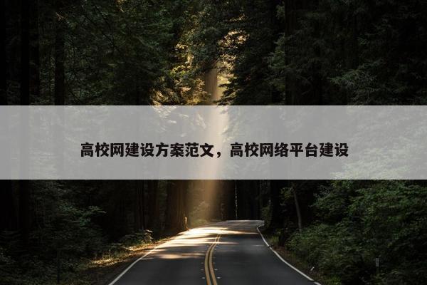 高校网建设方案范文，高校网络平台建设
