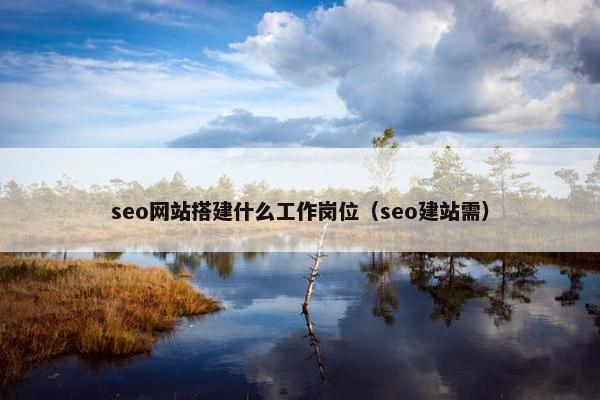 seo网站搭建什么工作岗位（seo建站需）