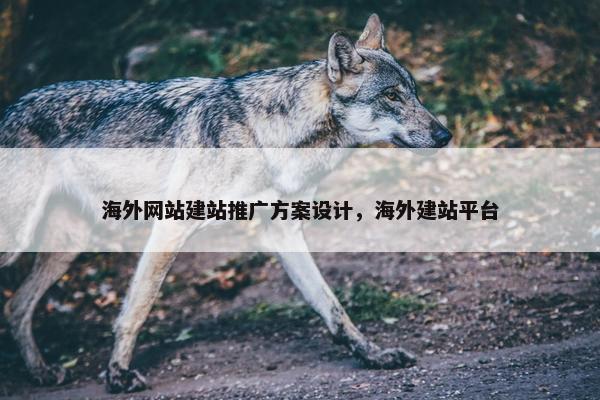 海外网站建站推广方案设计，海外建站平台