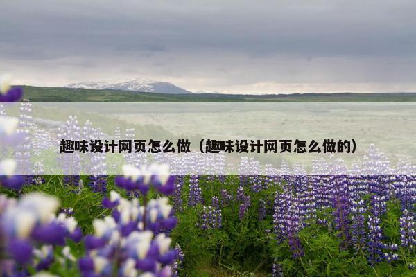 趣味设计网页怎么做（趣味设计网页怎么做的）