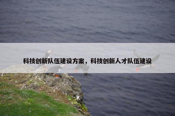 科技创新队伍建设方案，科技创新人才队伍建设