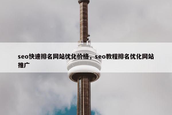 seo快速排名网站优化价格，seo教程排名优化网站推广