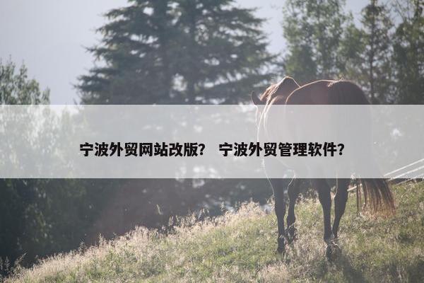 宁波外贸网站改版？ 宁波外贸管理软件？