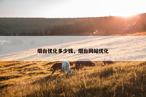 烟台优化多少钱，烟台网站优化