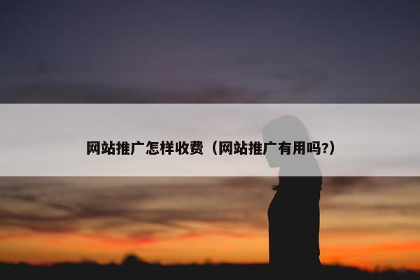 网站推广怎样收费（网站推广有用吗?）