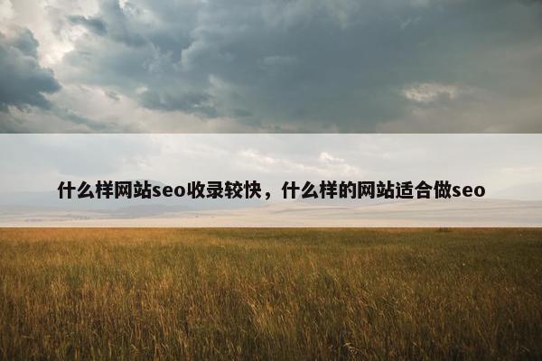 什么样网站seo收录较快，什么样的网站适合做seo