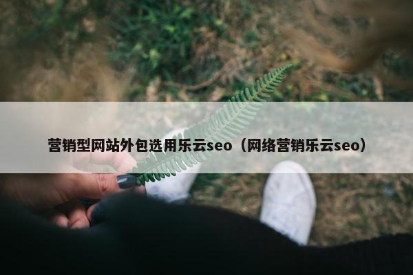 营销型网站外包选用乐云seo（网络营销乐云seo）