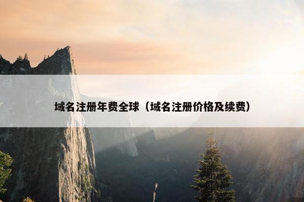 域名注册年费全球（域名注册价格及续费）