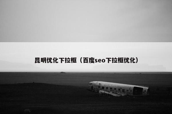 昆明优化下拉框（百度seo下拉框优化）