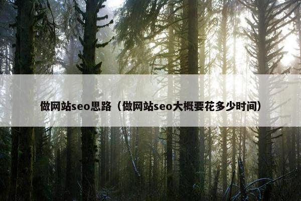 做网站seo思路（做网站seo大概要花多少时间）