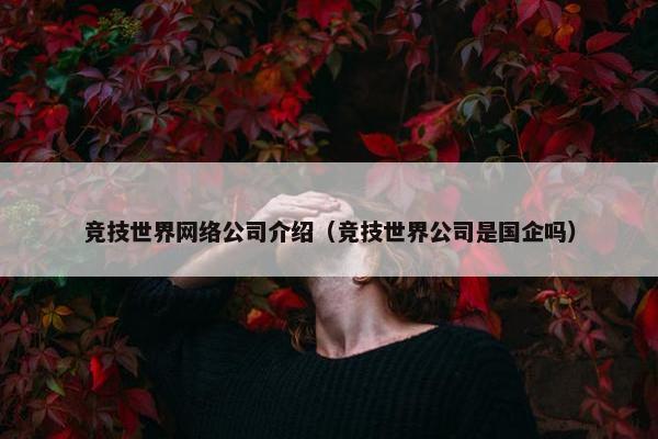 竞技世界网络公司介绍（竞技世界公司是国企吗）