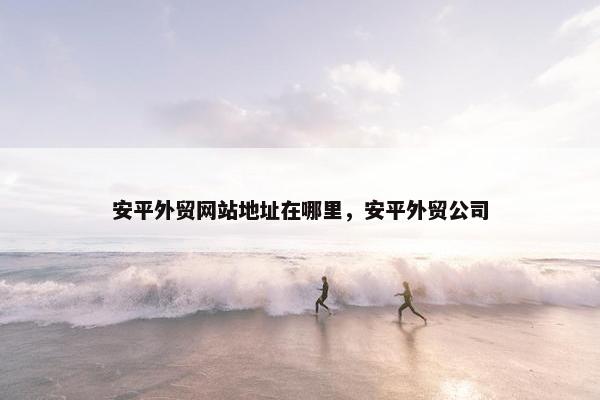 安平外贸网站地址在哪里，安平外贸公司