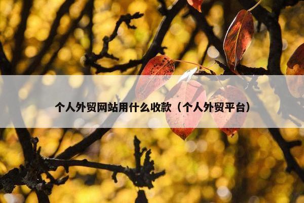 个人外贸网站用什么收款（个人外贸平台）