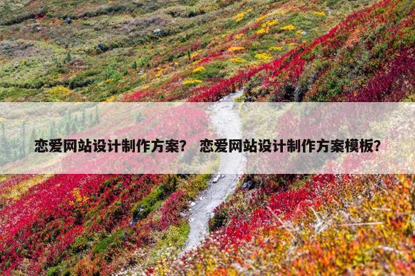 恋爱网站设计制作方案？ 恋爱网站设计制作方案模板？