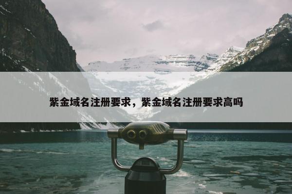 紫金域名注册要求，紫金域名注册要求高吗