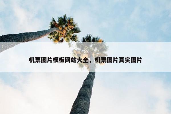 机票图片模板网站大全，机票图片真实图片