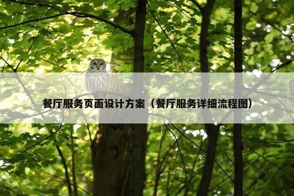 餐厅服务页面设计方案（餐厅服务详细流程图）