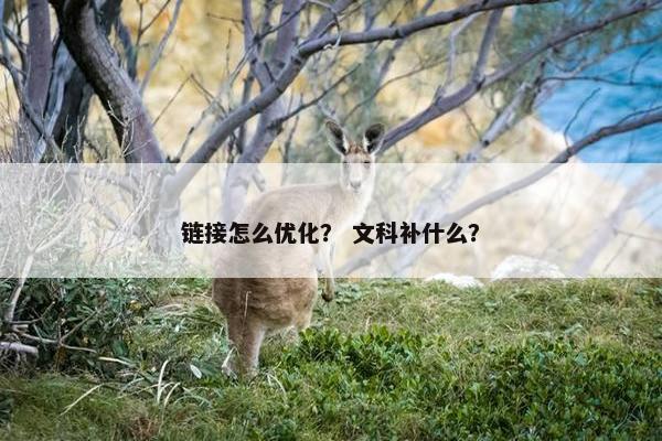 链接怎么优化？ 文科补什么？