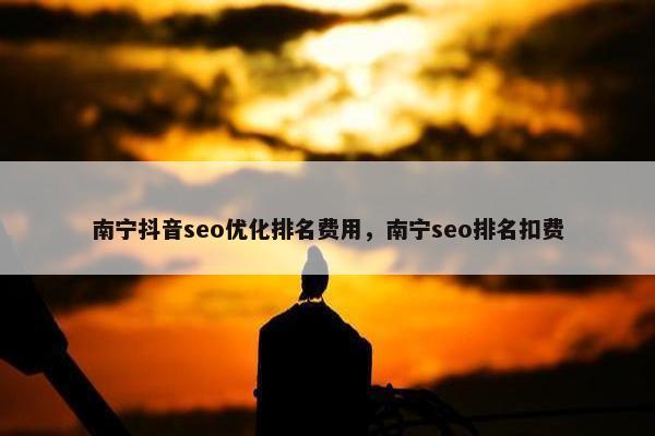 南宁抖音seo优化排名费用，南宁seo排名扣费