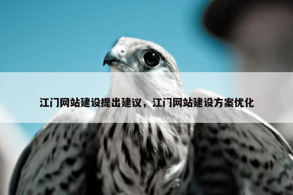 江门网站建设提出建议，江门网站建设方案优化