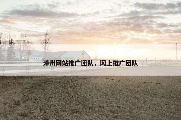 漳州网站推广团队，网上推广团队