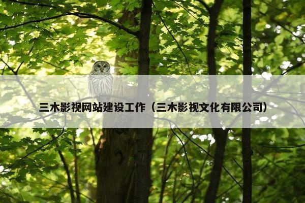 三木影视网站建设工作（三木影视文化有限公司）