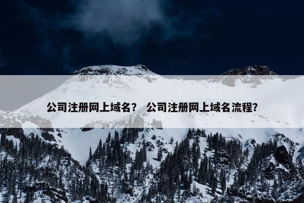 公司注册网上域名？ 公司注册网上域名流程？