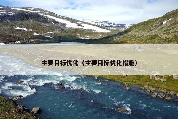 主要目标优化（主要目标优化措施）