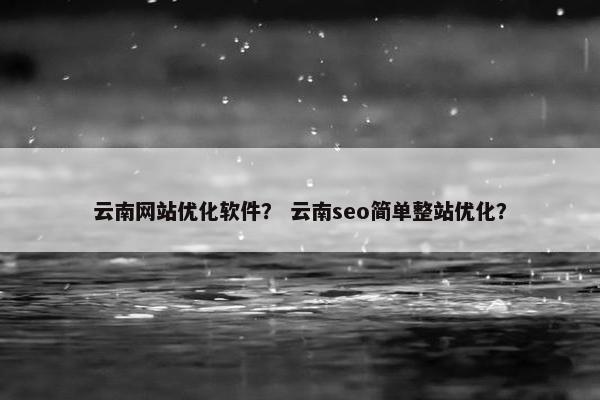 云南网站优化软件？ 云南seo简单整站优化？