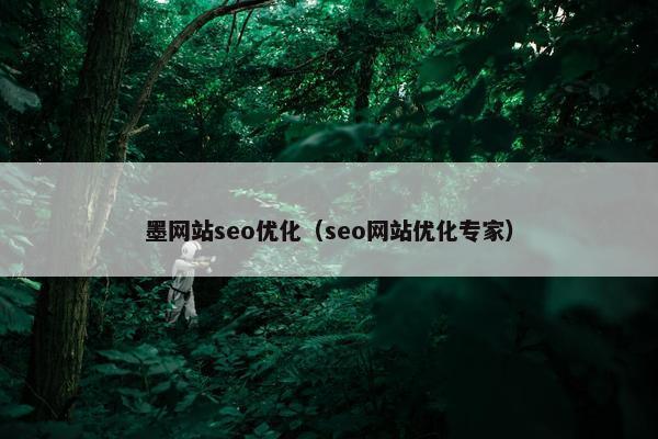 墨网站seo优化（seo网站优化专家）