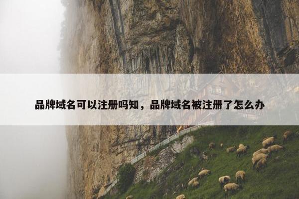 品牌域名可以注册吗知，品牌域名被注册了怎么办