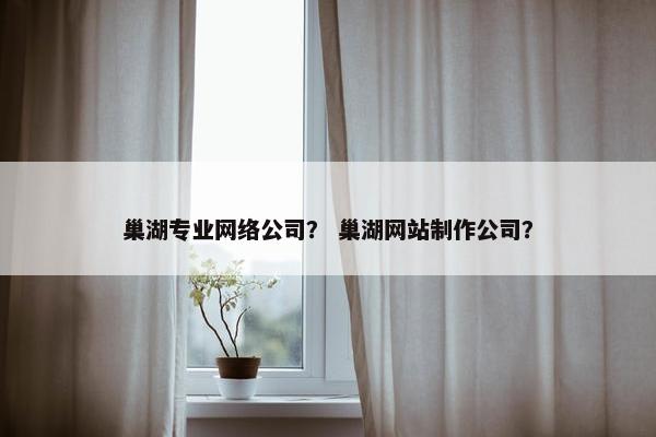 巢湖专业网络公司？ 巢湖网站制作公司？