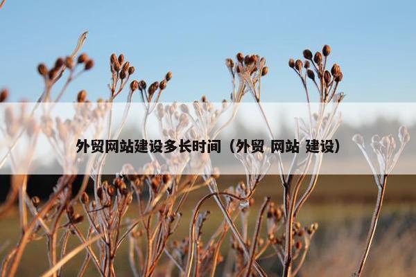 外贸网站建设多长时间（外贸 网站 建设）