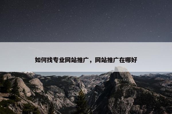 如何找专业网站推广，网站推广在哪好