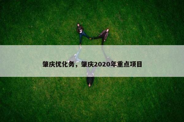 肇庆优化务，肇庆2020年重点项目