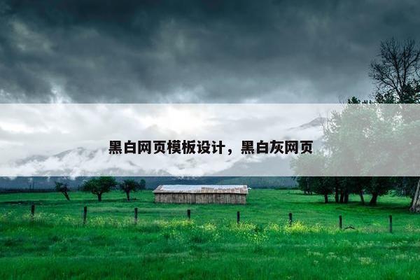 黑白网页模板设计，黑白灰网页