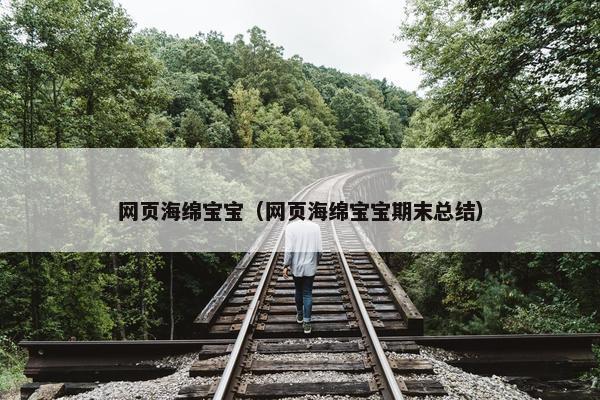 网页海绵宝宝（网页海绵宝宝期末总结）