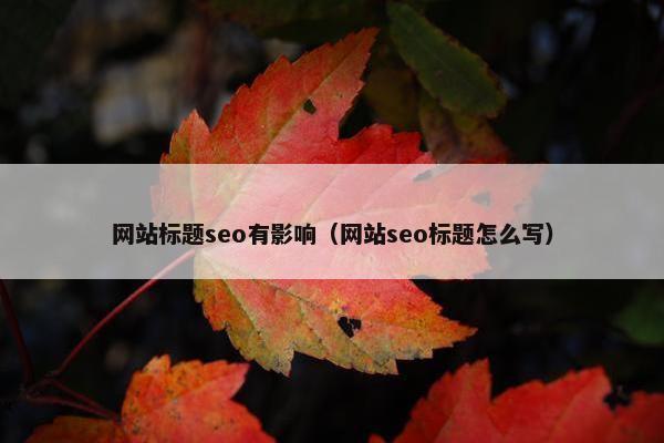 网站标题seo有影响（网站seo标题怎么写）
