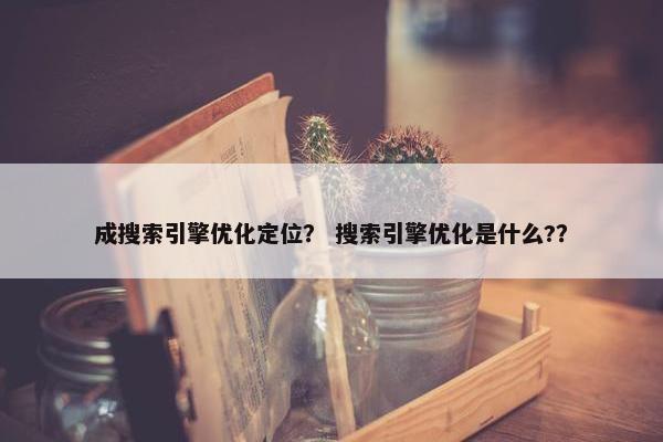 成搜索引擎优化定位？ 搜索引擎优化是什么?？