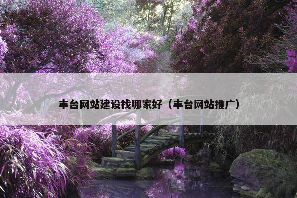 丰台网站建设找哪家好（丰台网站推广）